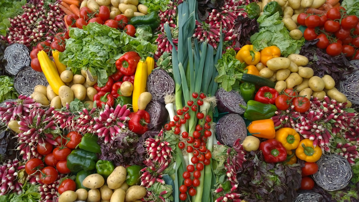 Wasser und Flüssigkeitszufuhr für Vitalität